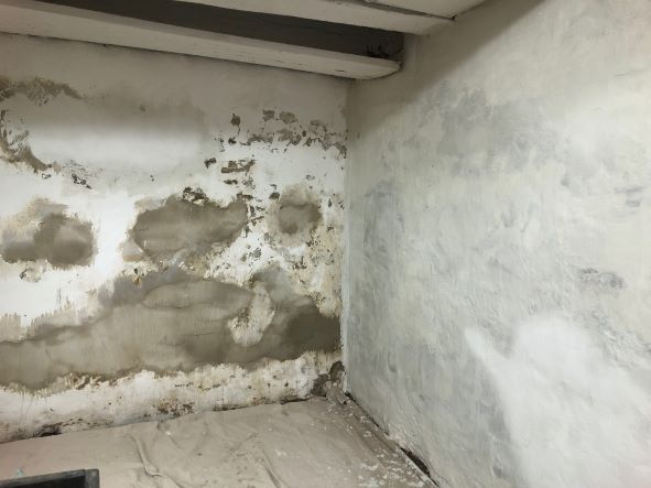 Bare Walls vs First Coat