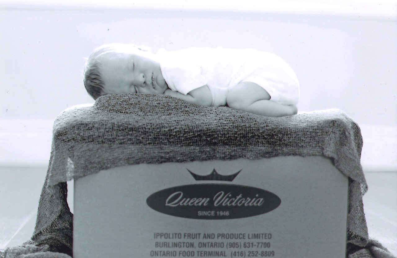Baby Luca on a QV Spinach box 2015