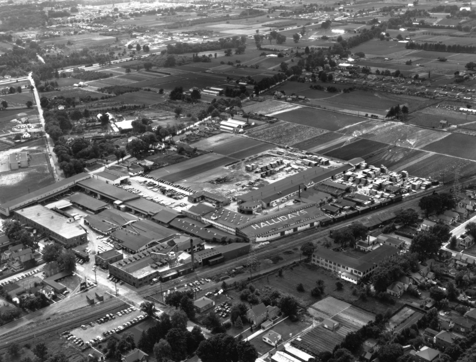 Halliday and Nicholson Birds Eye