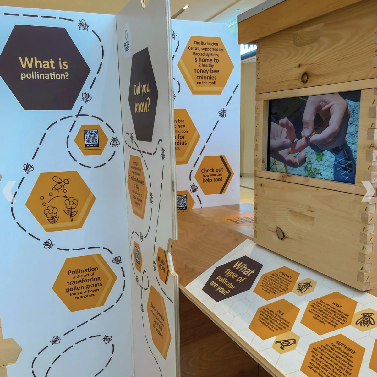 backed-by-bees-photos