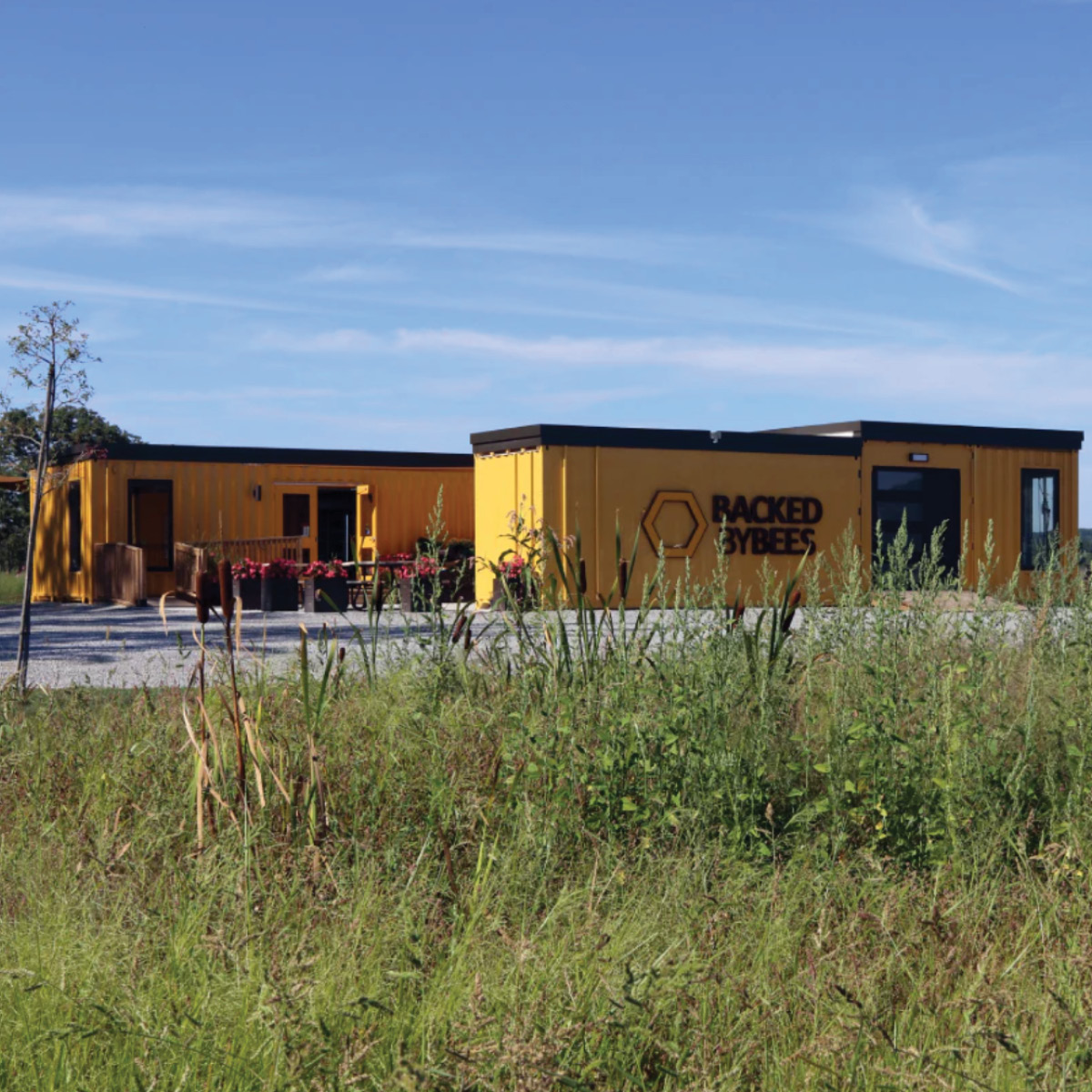 backed-by-bees-photos3